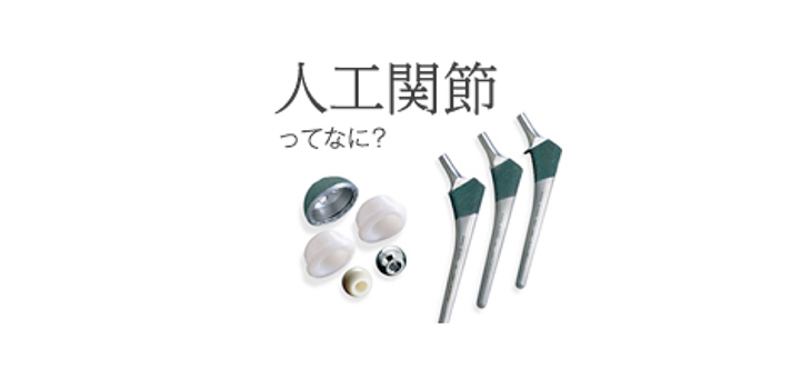 Kyocera 510(k) for Initia Total Hip System