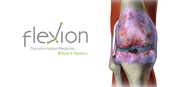 Flexion Submits NDA for Zilretta