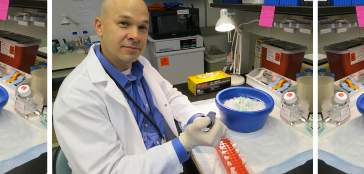 Researchers Probe Genome, ID Genes for Bone Strength