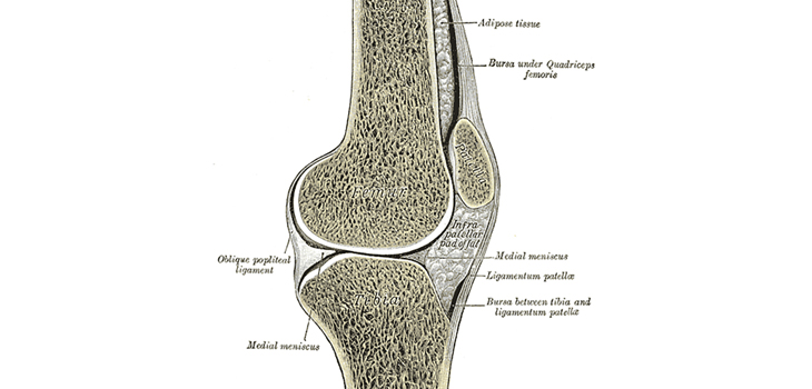 JBJS, Pain Webinar on Knee Arthritis