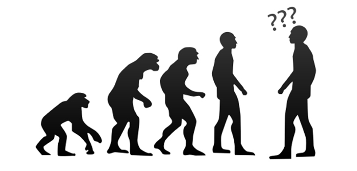 3D Models Reveal Origin of Joints