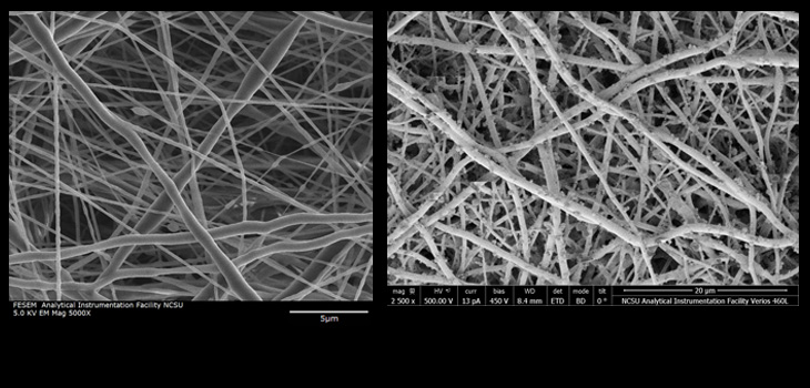 Silver Ions vs. MRSA; Low Calcium NOT High Fracture Risk?; Protein Signaling Protects Cartilage