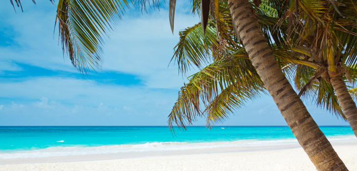 Conference in Paradise: Orthopaedic Trauma & Fracture Care