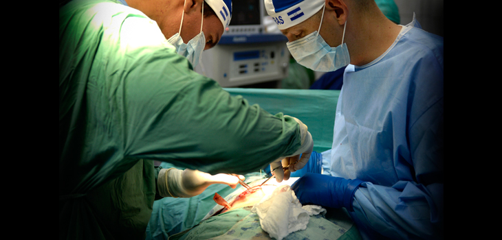 Orthopedic Registry Calls for Good Citizenship to Improve Patient Care