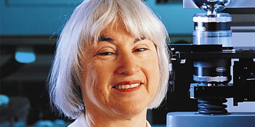 In Memoriam: Adele Boskey, Ph.D.