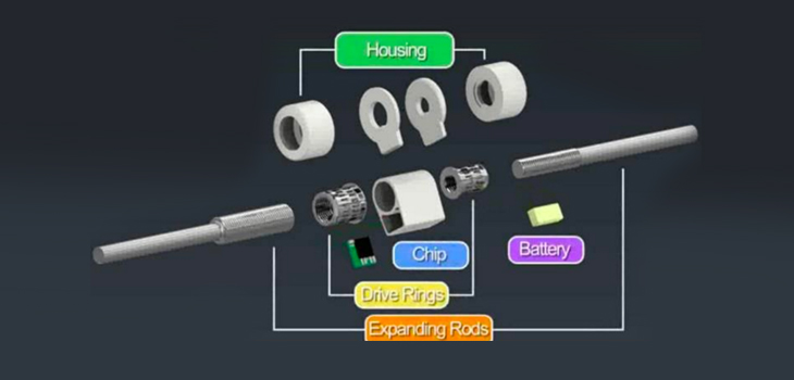 AMB Surgical Raises Funding for Scoliosis Growing Rod