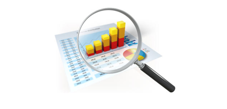 Corporate Ortho’s 1st Half Sales Report