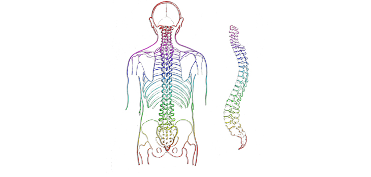 FDA Clears Spinal Resources Pedicle Screw System