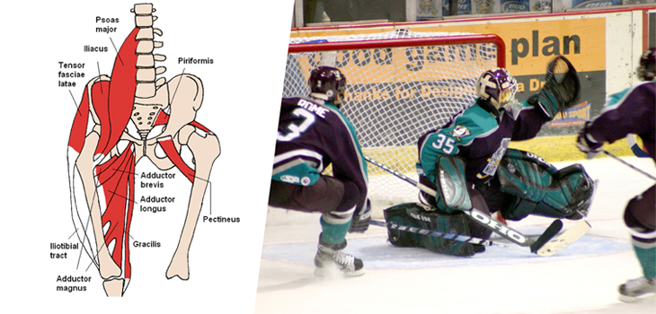 Hip Adductor Strains a Real Pain for Male Athletes