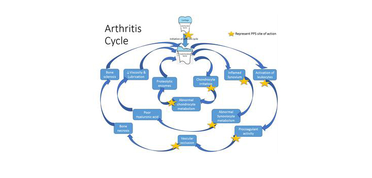 From Australia – Breakthrough in Arthritis Treatment