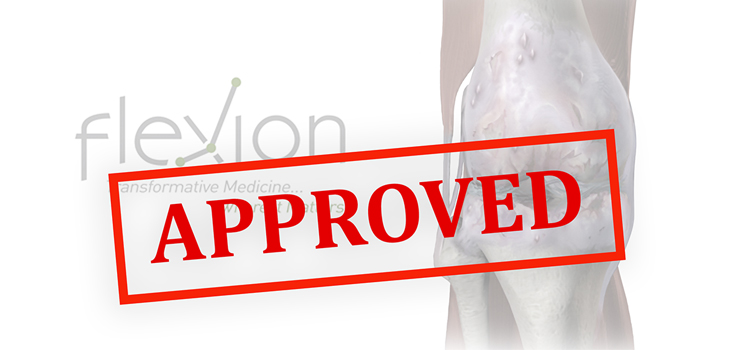 “Monumental” – FDA Approves Zilretta Extended Release Knee OA Drug