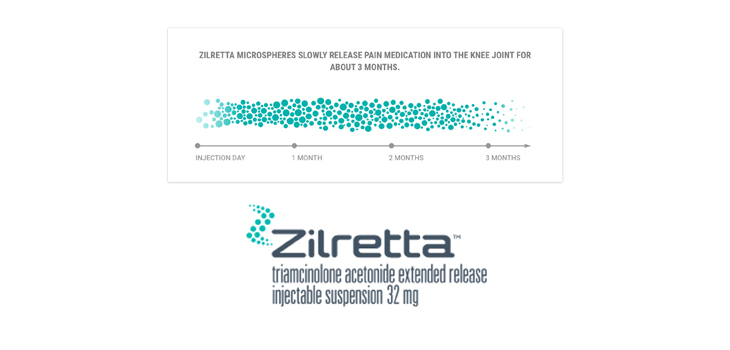 Flexion: Full Zilretta Launch