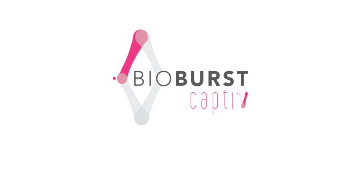 Burst Biologics Rebrands Bone Product Line