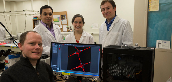 Engineer Used Hobbyist 3-D Printer to Grow Human Tissue