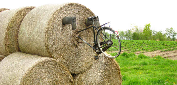 Collarbone Breaks Special Hazard for Cyclists