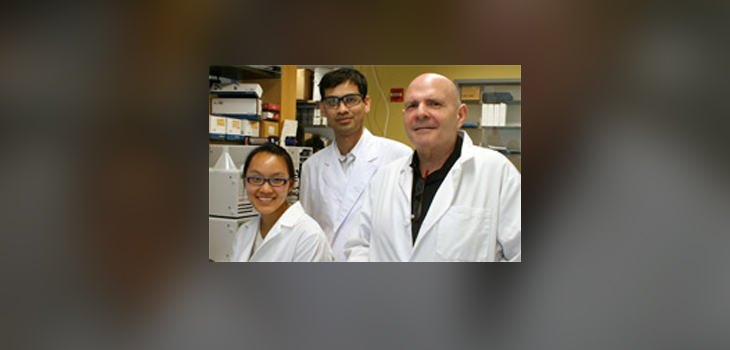 Nanotechnology May Lead to Tissue Regeneration