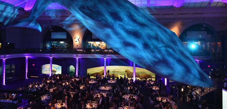 NYU Langone’s Ball Raises $1.3 Million+