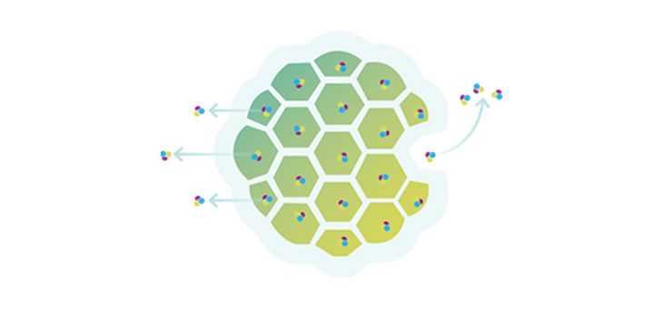 New Study Supports Exparel Cost Effectiveness