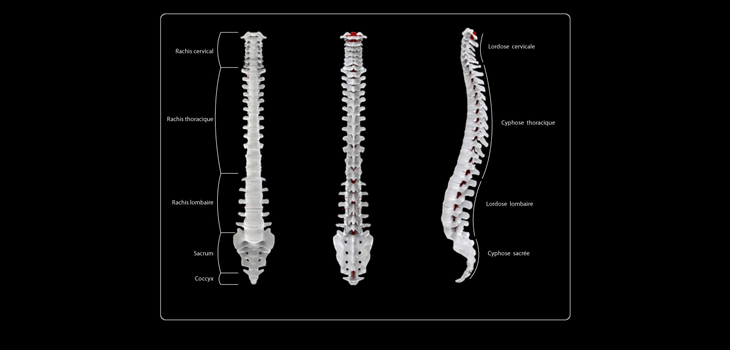 Planning Spinal Fusion? Consider Each Level’s Load