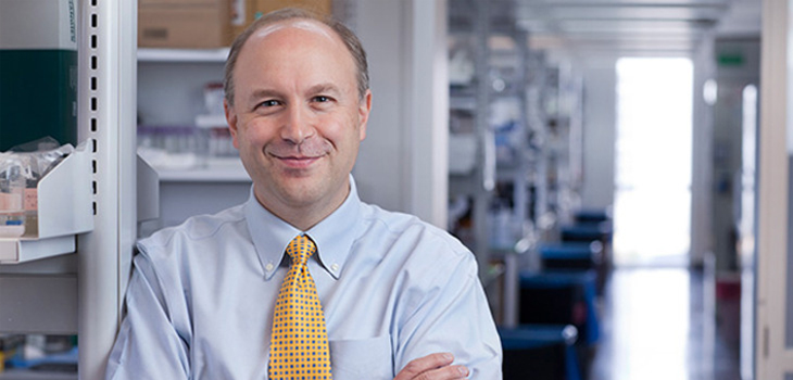 Linking the Mechanics of HA to Knee Cartilage Biology
