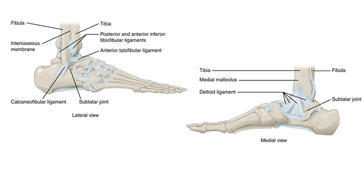 Continuous Compression Extremity Device Cleared by FDA