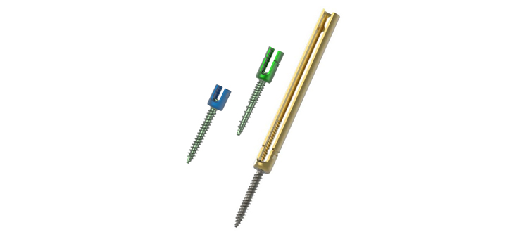FDA Clearance for CTL Medical Pedicle Screw System