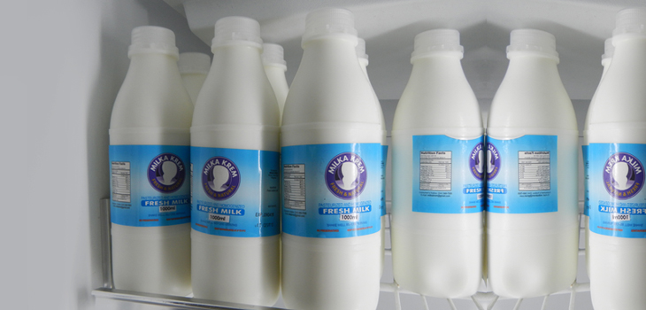 Dairy = Higher Spine Bone Density in Men, Not Women