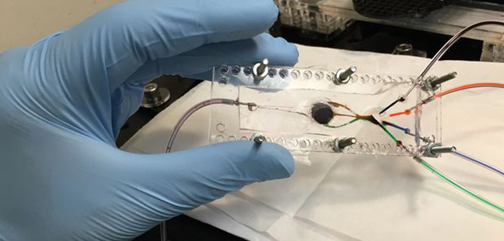 Bioprinter Designed to Print Body Parts