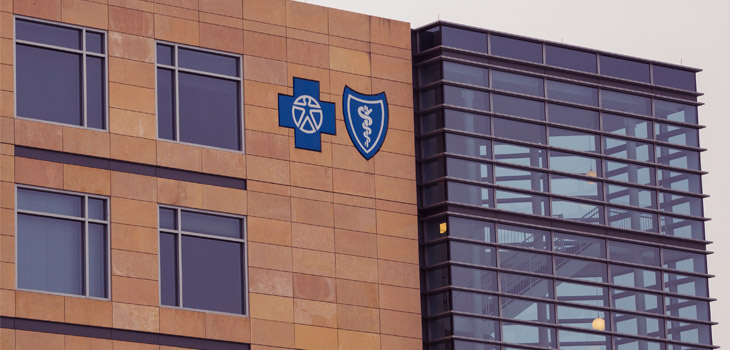 Blue Cross, Blue Shield, Reverse Payment Decision