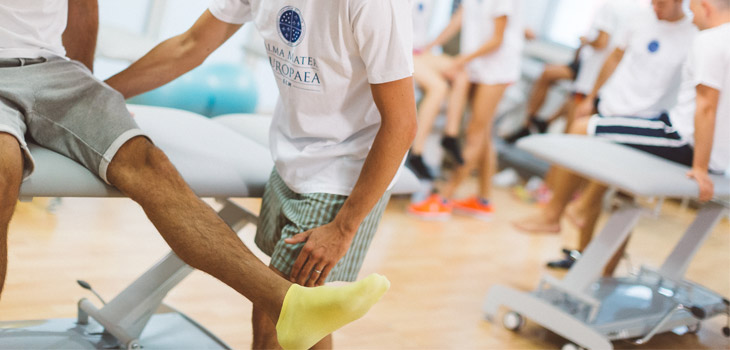 No Physical Therapy for Radial Head Fractures?