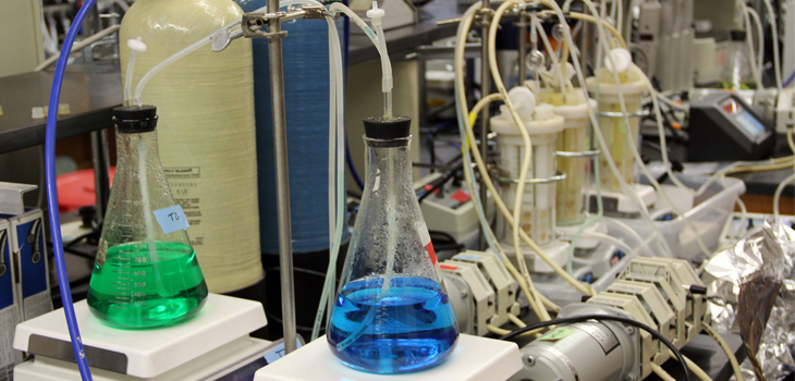 Stem Cell Reproduction Problem Solved?