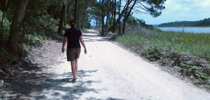 Does Intensity of Walking Affect Knee Osteoarthritis?
