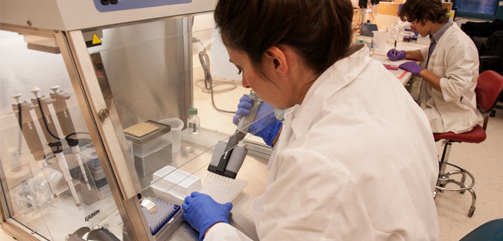 Oxygen-Deprived Stem Cells More Effective at Making Bone