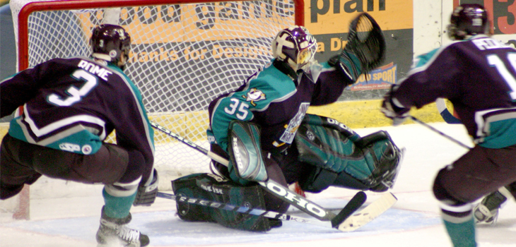 Upper Extremity Injuries High in Ice Hockey