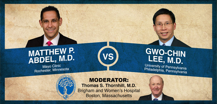 Abdel vs. Lee: The Cementless Knee: An Emergent Game Changer