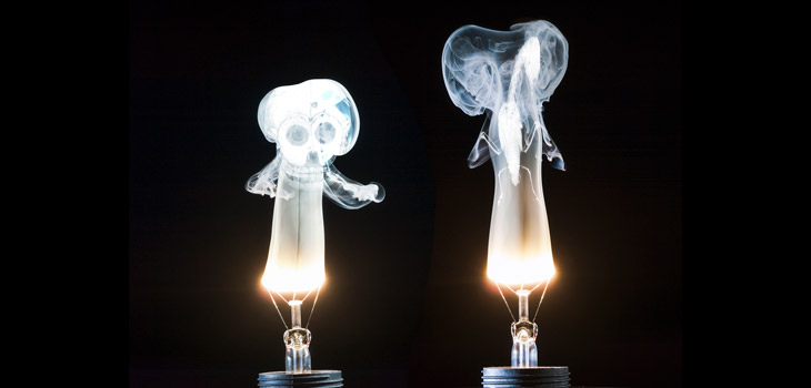 Predators and Parasites in Orthopedic Research