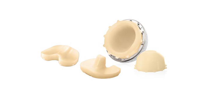 FDA Clears United Orthopedic’s Vitamin E Hip Liner