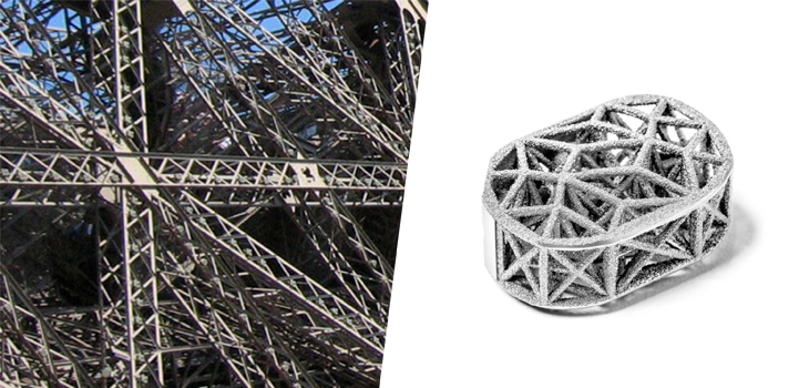 3D Printed Implants – Wolff’s Law in Action?
