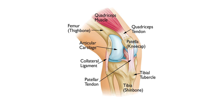Resurface the Patellar or Not? New Meta-Analysis Says…