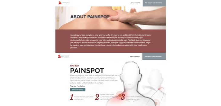 Web Based Pain Assessment Tool—PainSpot.org—Relaunched