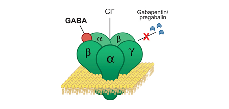Gabapentinoids and Postop Respiratory Complications in TJA
