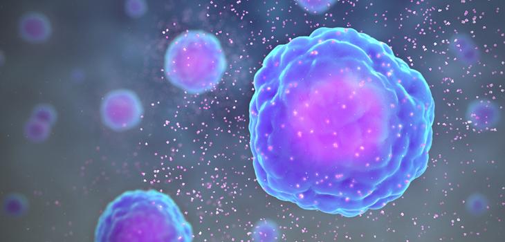 Lumbar Disc Cytokines – Friend or Foe?