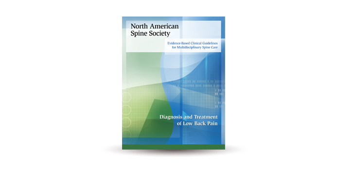 NASS Issues Massive Back Pain Treatment Review
