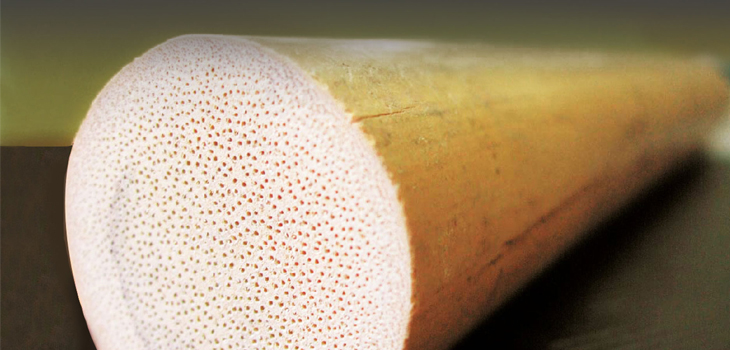 Bamboo Bone Graft Receives CE Mark