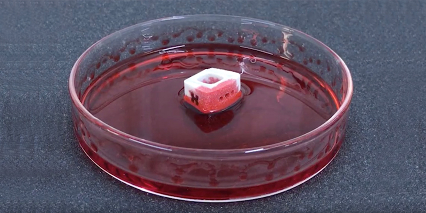 New Patent Issued for HAPPE Spine’s PEEK Biomaterial