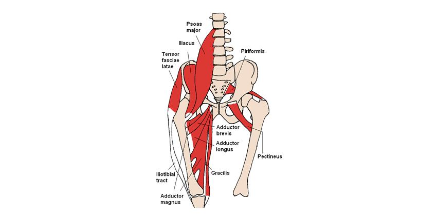 Surgery for Abductor Tears After Revision THA?
