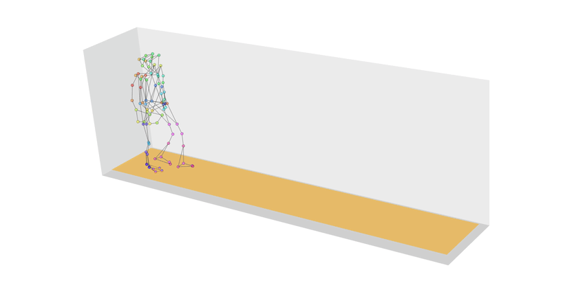 46-Patient Study Links Gait Analysis to Pain and Function