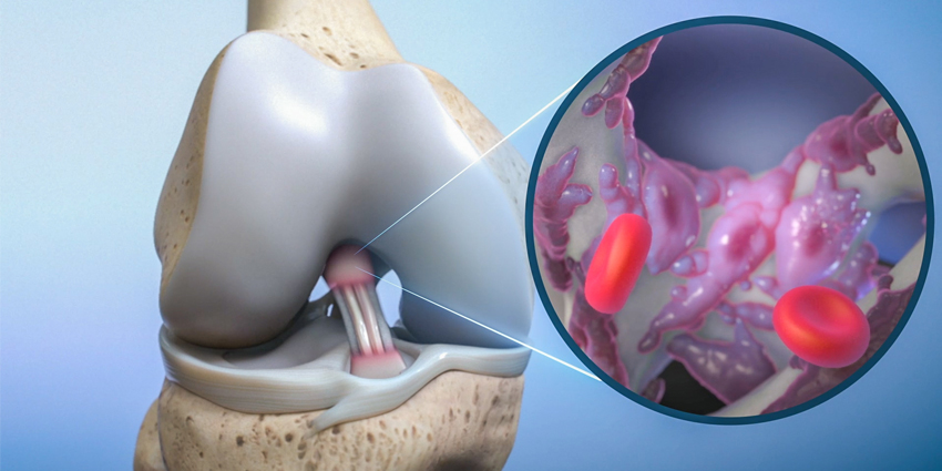 Biorez Raises $3.5 Million and Launches New Website