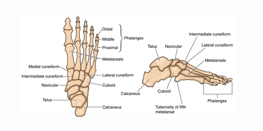RTI Surgical Foot Compression Plate System Cleared