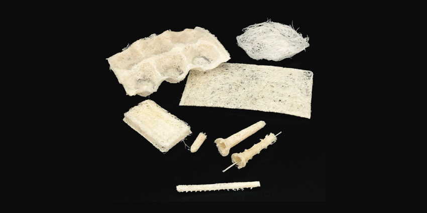 First Use of Demineralized Bone Fiber Screw Anchor by Anand